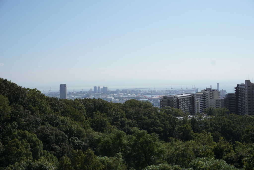 施設の屋上から見える神戸の町並み